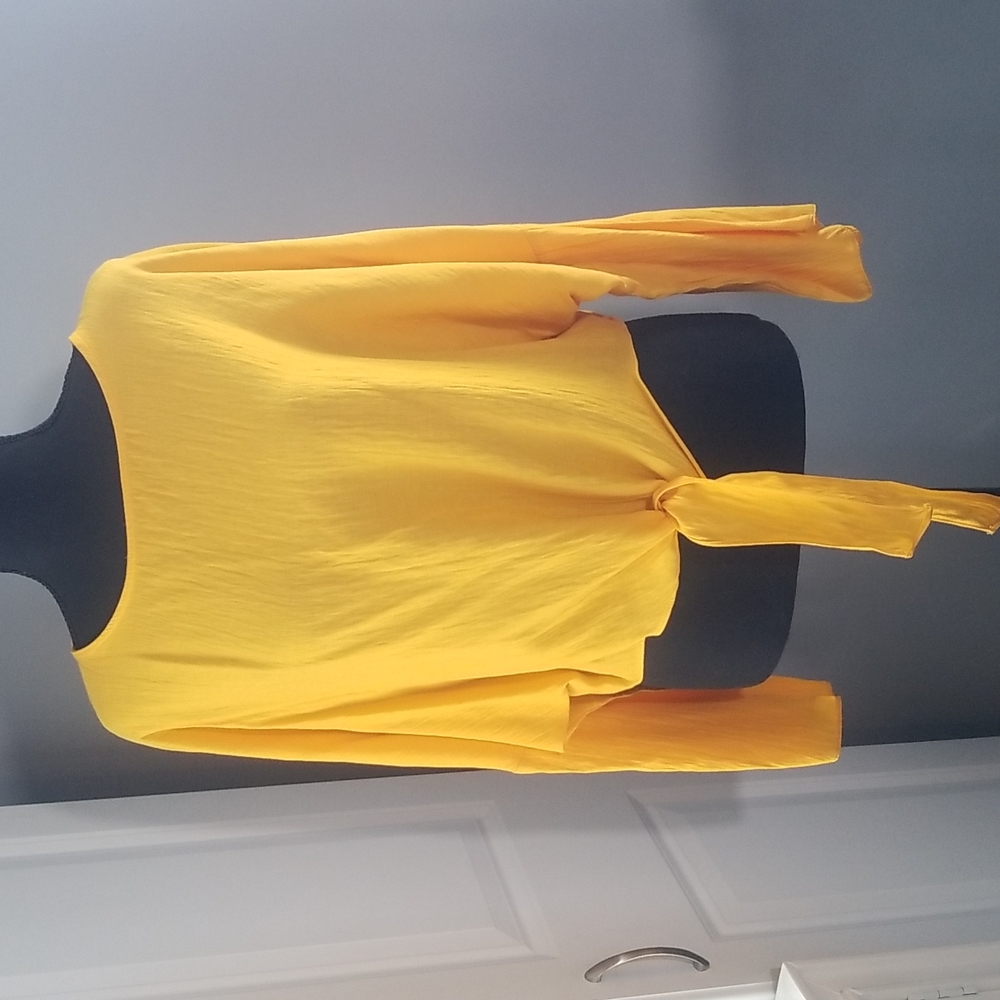 Topshop CROP tie Front Pullover